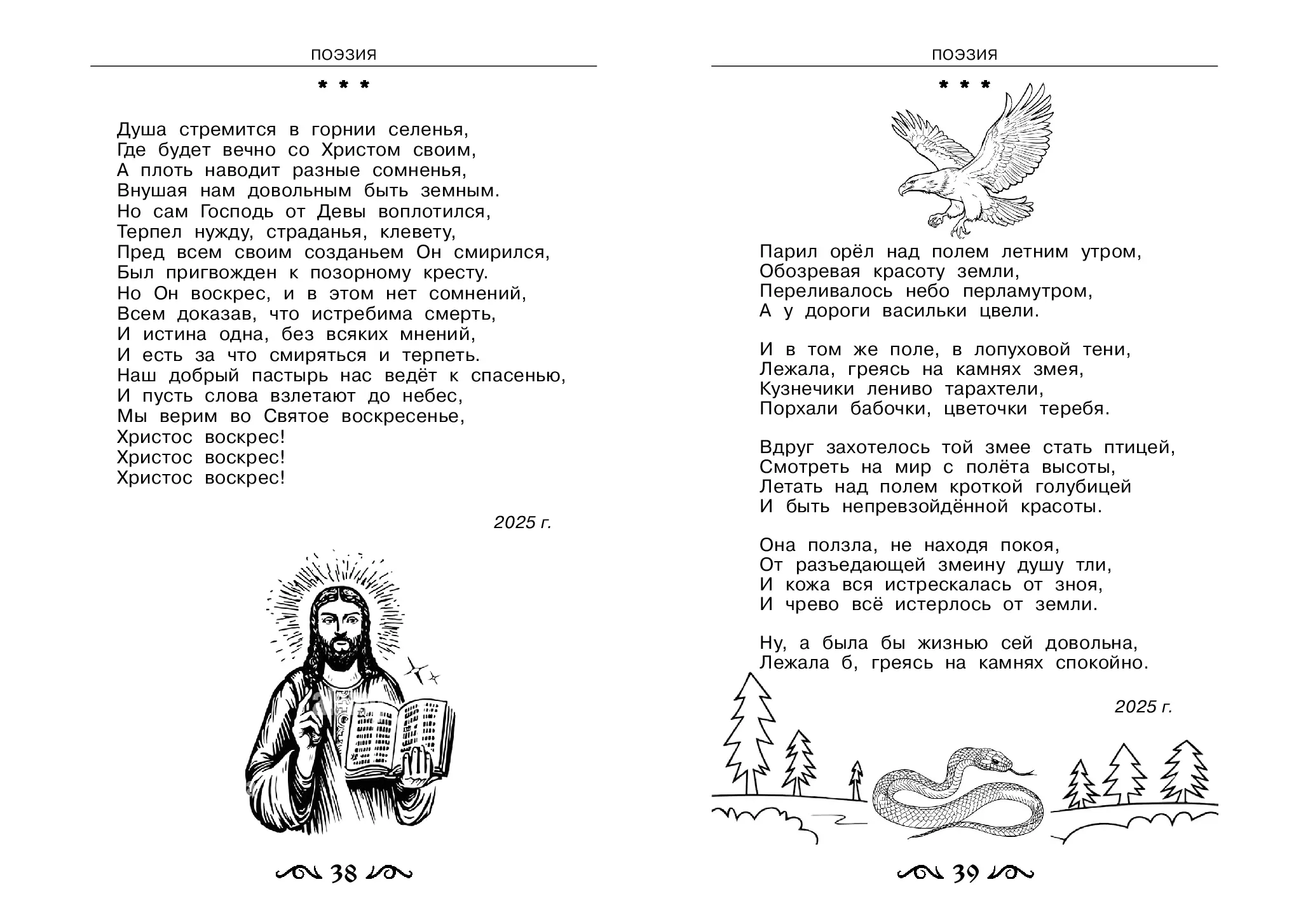 image-20